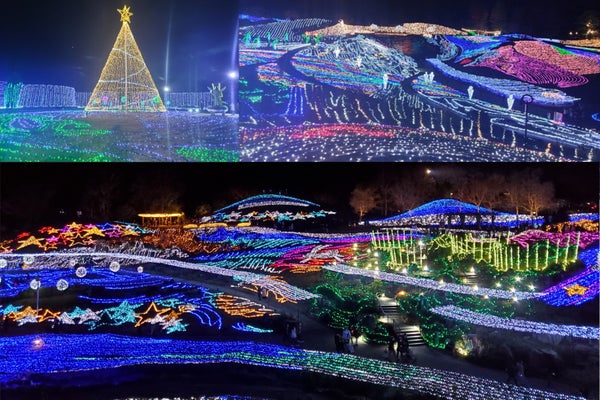 【広島駅新幹線口・アストラムライン古市駅発着/日帰り】幻想的な光の世界 国営讃岐まんのう公園ウインターファンタジー1